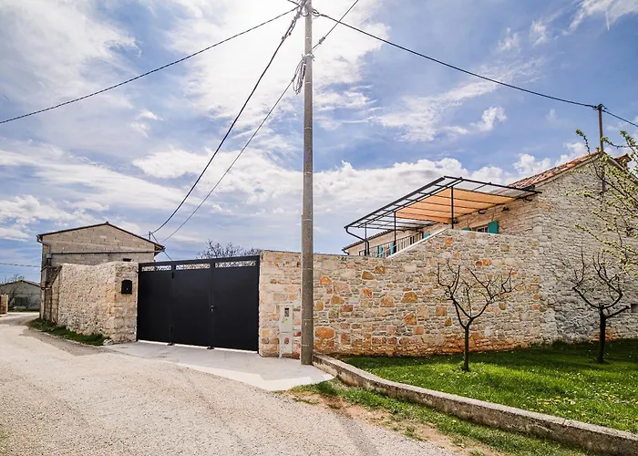 Mint With Pool Villa Pazin